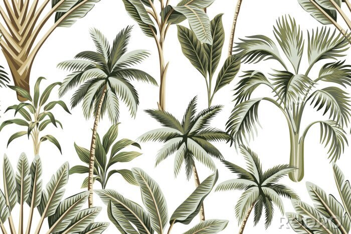 Sticker Tropische Palmen auf weißem Hintergrund