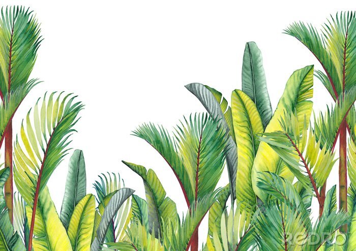 Sticker Tropische Palmen- und Bananenblätter