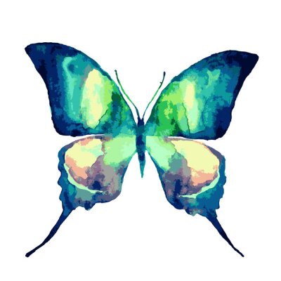 Sticker Türkisfarbener Schmetterling in Aquarell