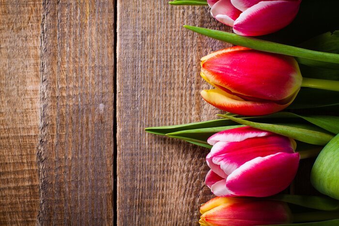 Sticker Tulpen auf Holz