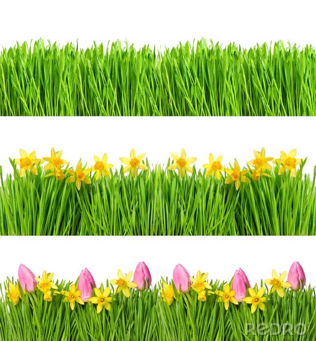 Sticker Tulpen  Narzissen und Gras