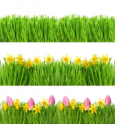 Sticker Tulpen  Narzissen und Gras