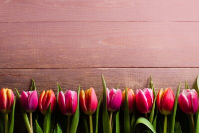 Sticker Tulpen nebeneinander