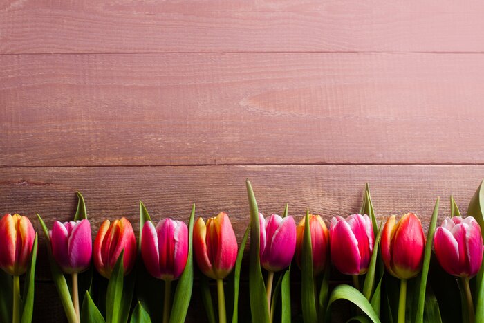 Sticker Tulpen nebeneinander