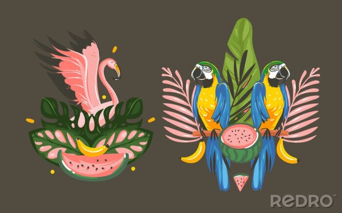 Sticker Übergeben Sie gezogene Vektorzusammenfassungskarikatur-Sommerzeit grafische Dekorationsillustrations-Zeichensammlung, die mit rosa Flamingo- und Papageienara-Vögeln des exotischen tropischen Regenwald