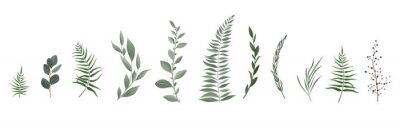 Sticker Vector designer elements set collection of greeng leaves herbs in watercolor style.