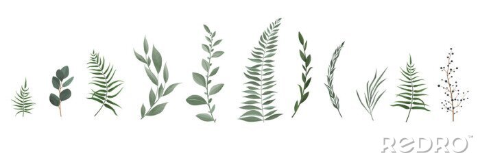 Sticker Vector designer elements set collection of greeng leaves herbs in watercolor style.