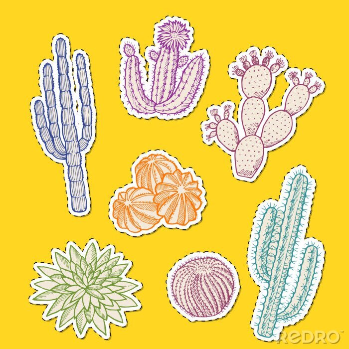 Sticker Vector hand drawn desert cacti plants colored stickers of set illustration