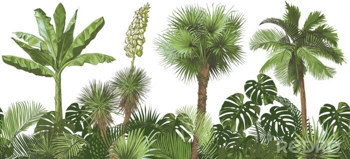 Sticker Vector Tropical palms, plants, leaf, foliage, monstera