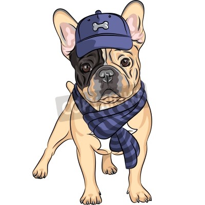 Sticker Vektor Hipster Hund Französisch Bulldogge Rasse in einer blauen Kappe und Schal