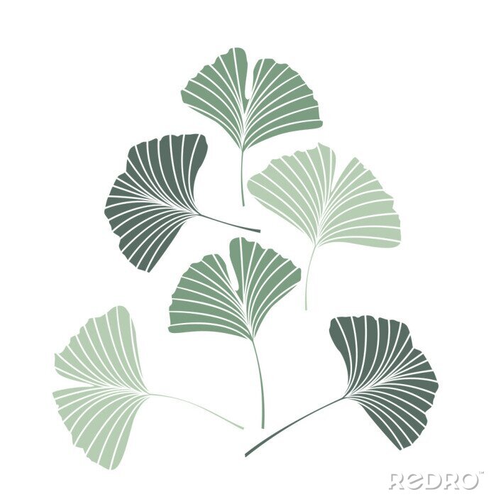 Sticker Vektor-Illustrationsginkgo biloba verlässt. Naturhintergrund mit Blättern.