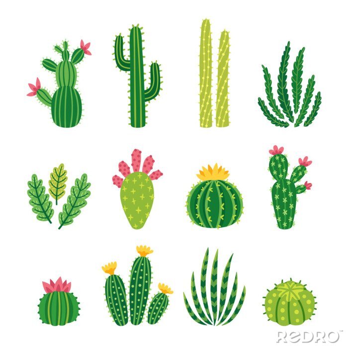 Sticker Vektorsatz helle Kakteen, Aloe und Blätter. Sammlung von exotischen Pflanzen. Dekorative Naturelemente sind auf weiß isoliert. Kaktus mit Blumen.