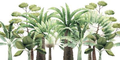 Sticker Verschiedene Arten tropischer Bäume