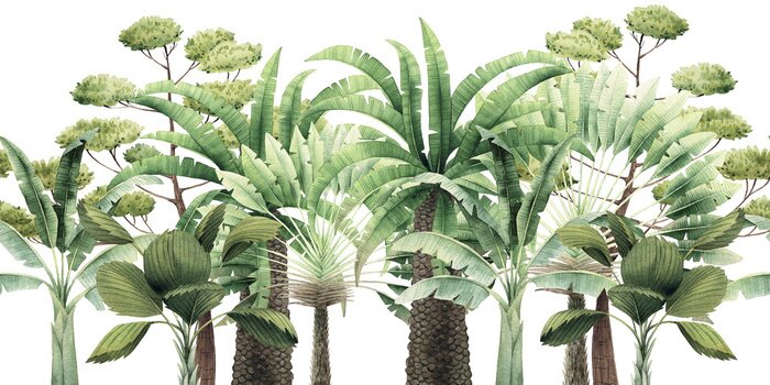 Sticker Verschiedene Arten tropischer Bäume