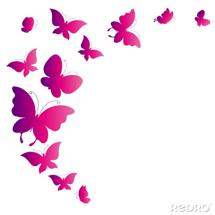 Sticker Verschiedene monochromatische Schmetterlinge