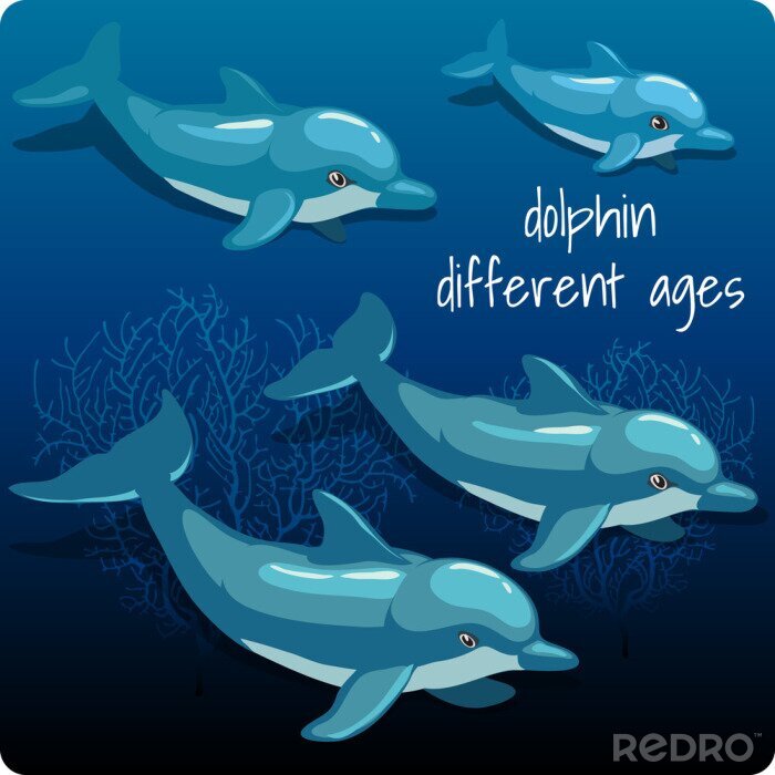 Sticker Vier Delfine im Ozean