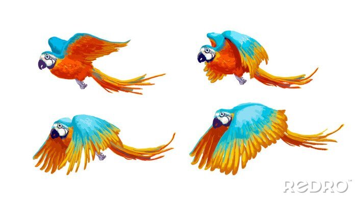 Sticker Vier exotische Vögel im Flug