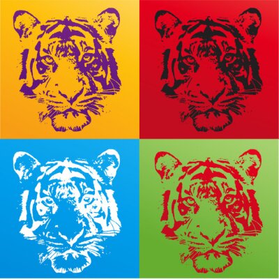Vier Gesichter des Tigers