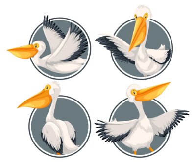 Sticker Vier Vögel mit großen Schnäbeln