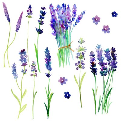 Lavendel Sticker - schöne Pflanzen - Sticker mit Lavendel im