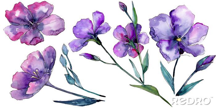Sticker Violette Blumen Illustration in Aquarell-Ästhetik
