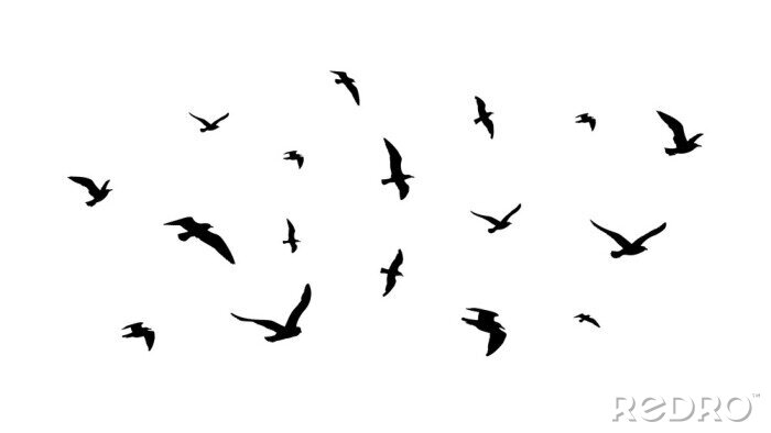 Sticker Vögel am Himmel schwarz-weiße Illustration