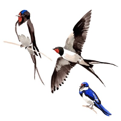 Sticker Vögel Aquarell auf weißem Hintergrund