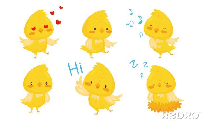 Sticker Vögel für Kinder in einer niedlichen Illustration