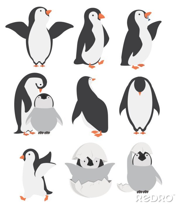 Sticker Vögel für Kinder Pinguin-Set