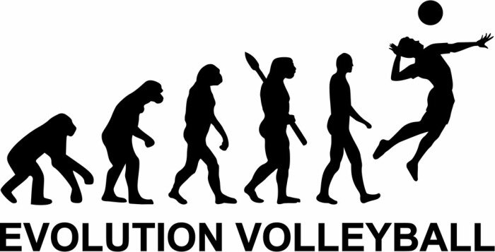 Sticker Volleyball Entwicklung