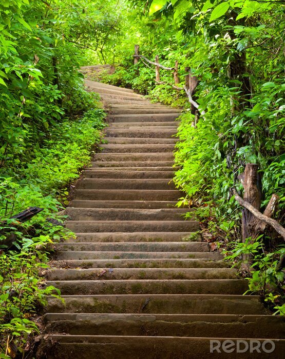 Sticker Wald mit Holztreppen