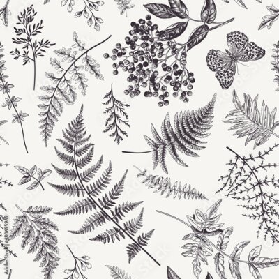 Sticker Waldfarn und Schmetterlinge