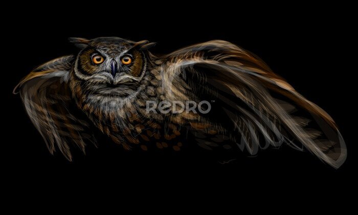 Sticker Waldohreule im Flug auf schwarzem Hintergrund