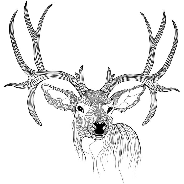 Sticker Waldtiere Hirsch Line Art Stil