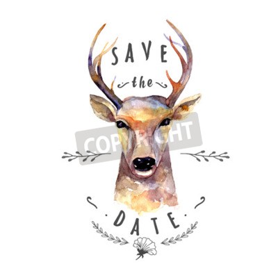 Sticker Waldtiere Hirschkopf Aquarell Grundfarben