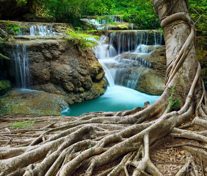 Sticker Wasserfall und tropischer Wald