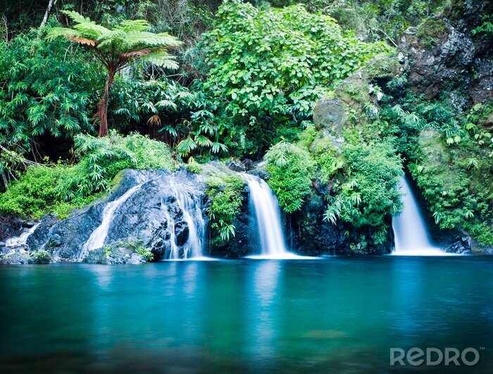 Sticker Wasserkaskaden und Grün