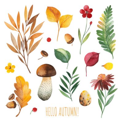 Watercolor Autumn set with leaves,mushrooms,berries,branches,eggs,nuts,acorns,flowers and more. Perfect for wallpapers,stickers,scrapbooking,invitations,print