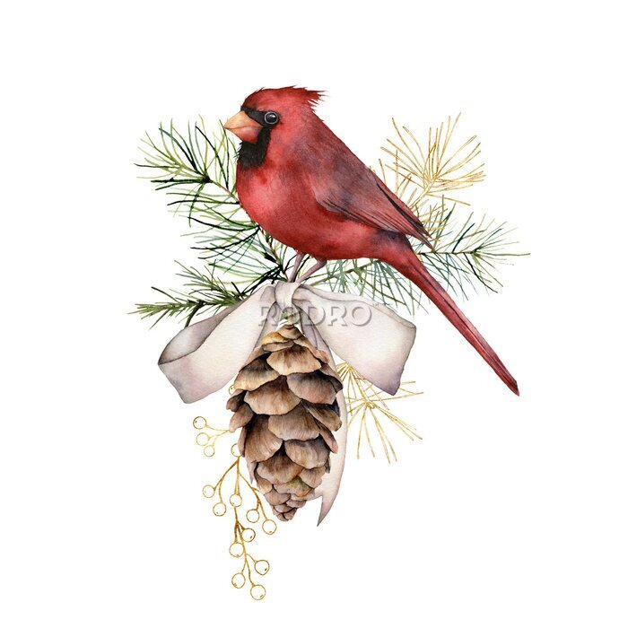 Sticker Watercolor Christmas golden composition with cardinal and bow. Hand painted winter card with bird, fir cone isolated on white background. Holiday illustration for design, print, fabric or background.