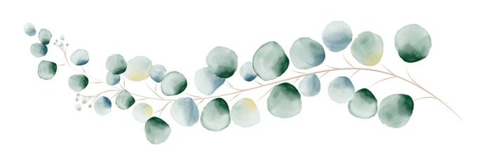 Sticker Watercolor green eucalyptus leaves and branches