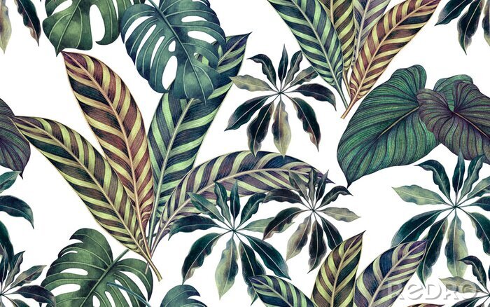 Sticker Watercolor painting colorful tropical leaf,green leave seamless pattern background.Watercolor hand drawn illustration tropical exotic leaf prints for wallpaper,textile Hawaii aloha summer style..