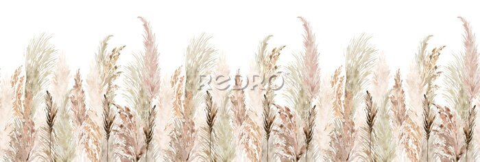 Sticker Watercolor pampas grass seamless border. Boho dried grass and leaves neutral colors bouquet. Botanical nature design isolated on white. Bohemian style wedding invitation, greeting, card, postcard