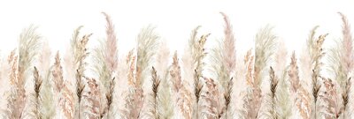 Sticker Watercolor pampas grass seamless border. Boho dried grass and leaves neutral colors bouquet. Botanical nature design isolated on white. Bohemian style wedding invitation, greeting, card, postcard