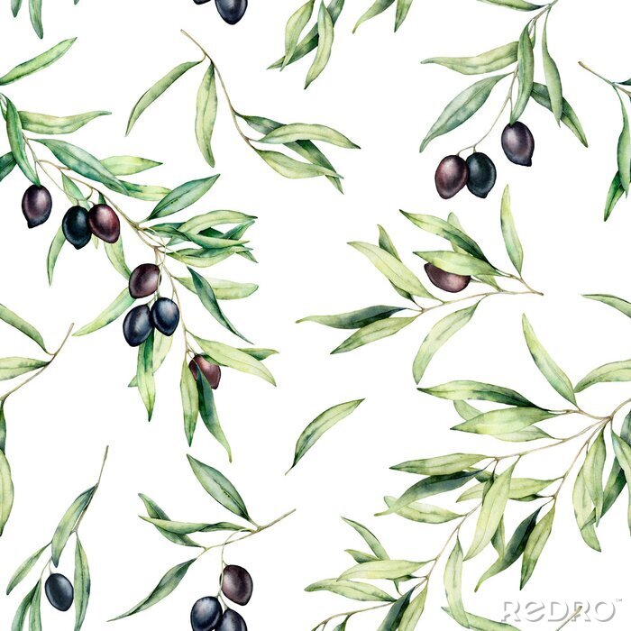 Sticker Watercolor seamless pattern with olive tree branch, black olives, and leaves. Hand painted botanical illustration isolated on white background for design, print, fabric or background.