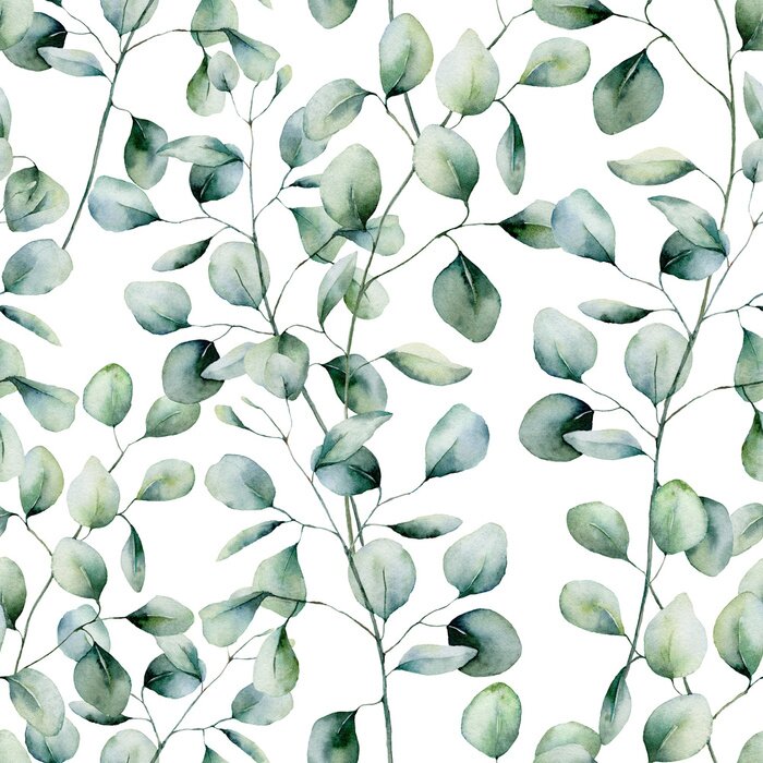Sticker Watercolor silver dollar eucalyptus seamless pattern. Hand painted eucalyptus branch and leaves isolated on white background. Floral illustration for design, print, fabric or background.