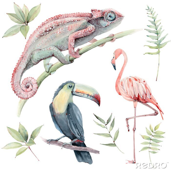 Sticker watercolor tropical animals set.
