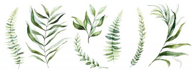 Sticker Watercolor tropical floral illustration set with green leaves for wedding stationary, greetings, wallpapers, fashion, backgrounds, textures, DIY, wrappers, postcards, logo, etc.