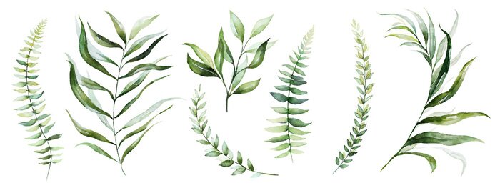 Sticker Watercolor tropical floral illustration set with green leaves for wedding stationary, greetings, wallpapers, fashion, backgrounds, textures, DIY, wrappers, postcards, logo, etc.