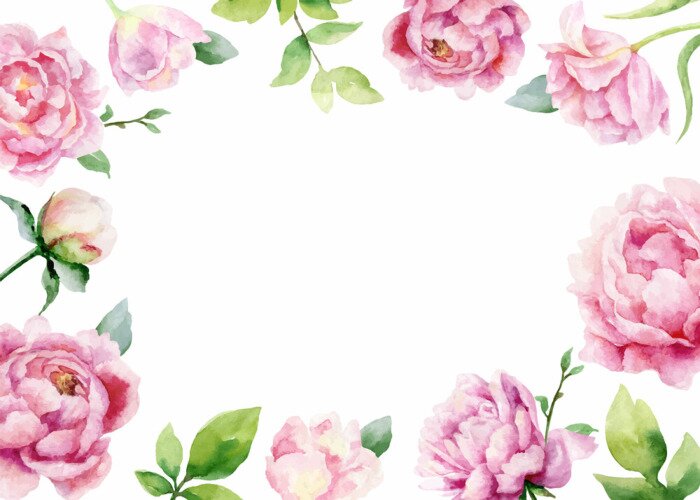 Sticker Watercolor vector hand painting card of peony flowers and green leaves.