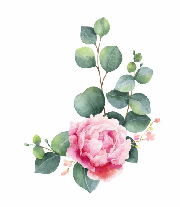 Sticker Watercolor vector wreath with green eucalyptus leaves, peony flowers and branches.